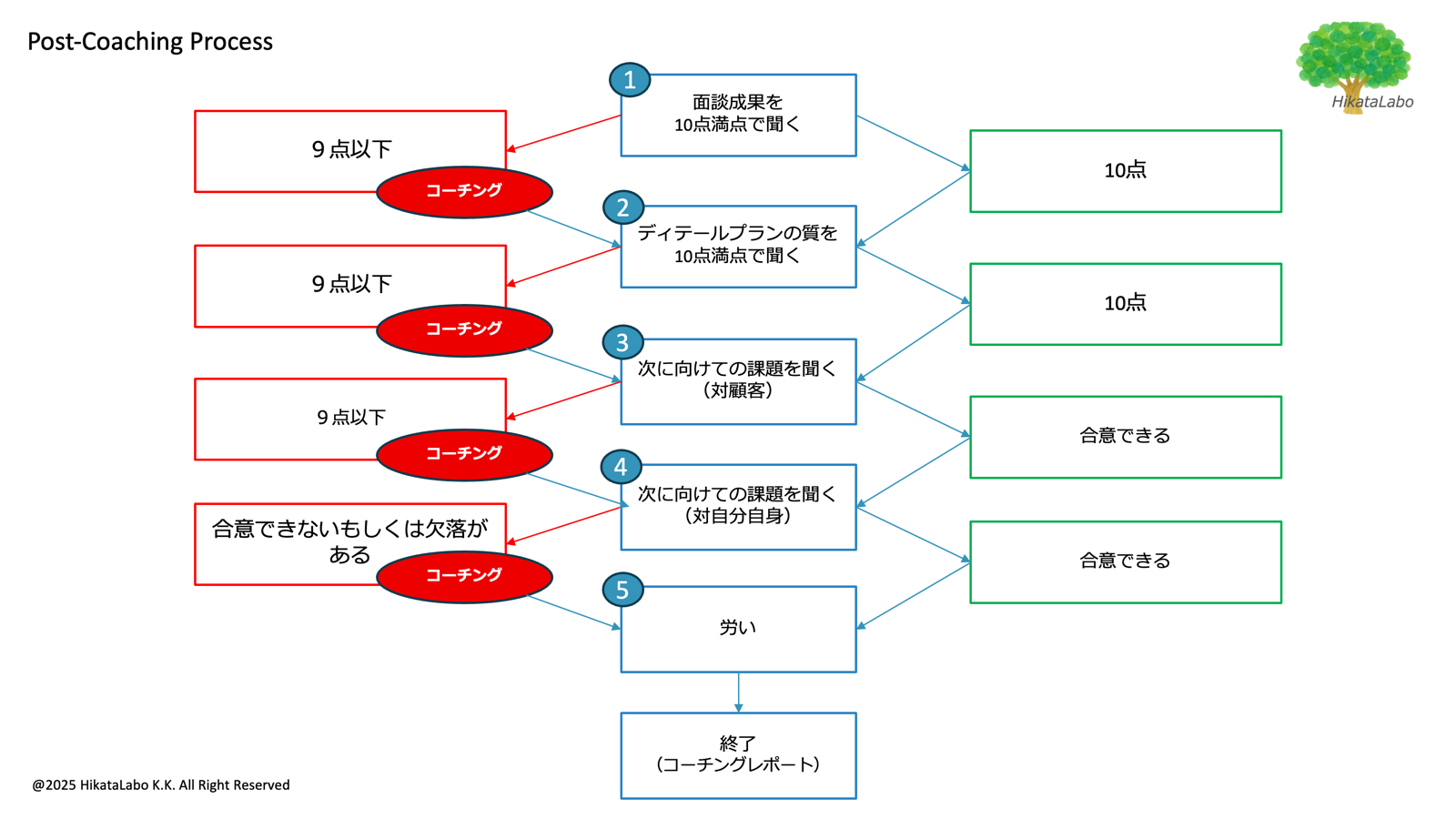 Blog#10 FLMによるField Coaching Processを分解してみると | MR（医薬情報担当者）と営業マネージャーの能力 ...